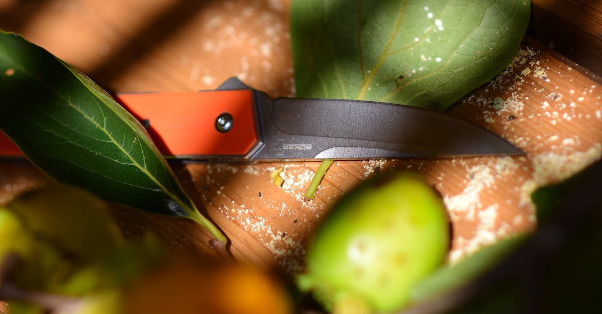 découvrez comment retirer une lame en toute sécurité et efficacement grâce à notre guide étape par étape. conseils pratiques et outils adaptés pour un démontage sans risque.