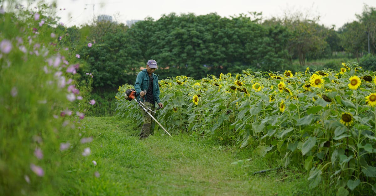 découvrez tout ce qu'il faut savoir sur la brushcutter : conseils d'utilisation, avantages, types disponibles et astuces pour entretenir et choisir l'outil idéal d'entretien de votre jardin.