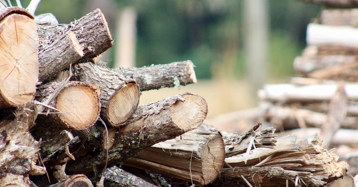 découvrez tout sur le fuel : usages, types, avantages et conseils pour choisir le meilleur carburant pour votre chauffage ou vos besoins industriels.