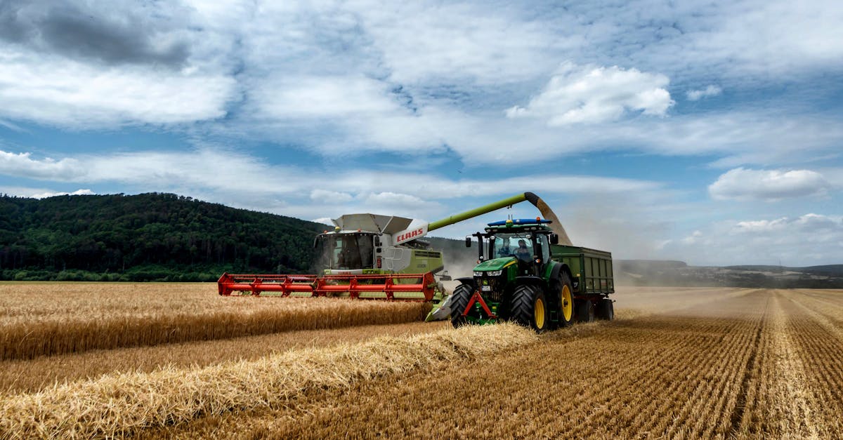 découvrez notre guide complet sur les tondeuses à gazon : conseils d'achat, comparatifs, astuces d'entretien et choix du modèle idéal pour un jardin parfaitement entretenu toute l'année.