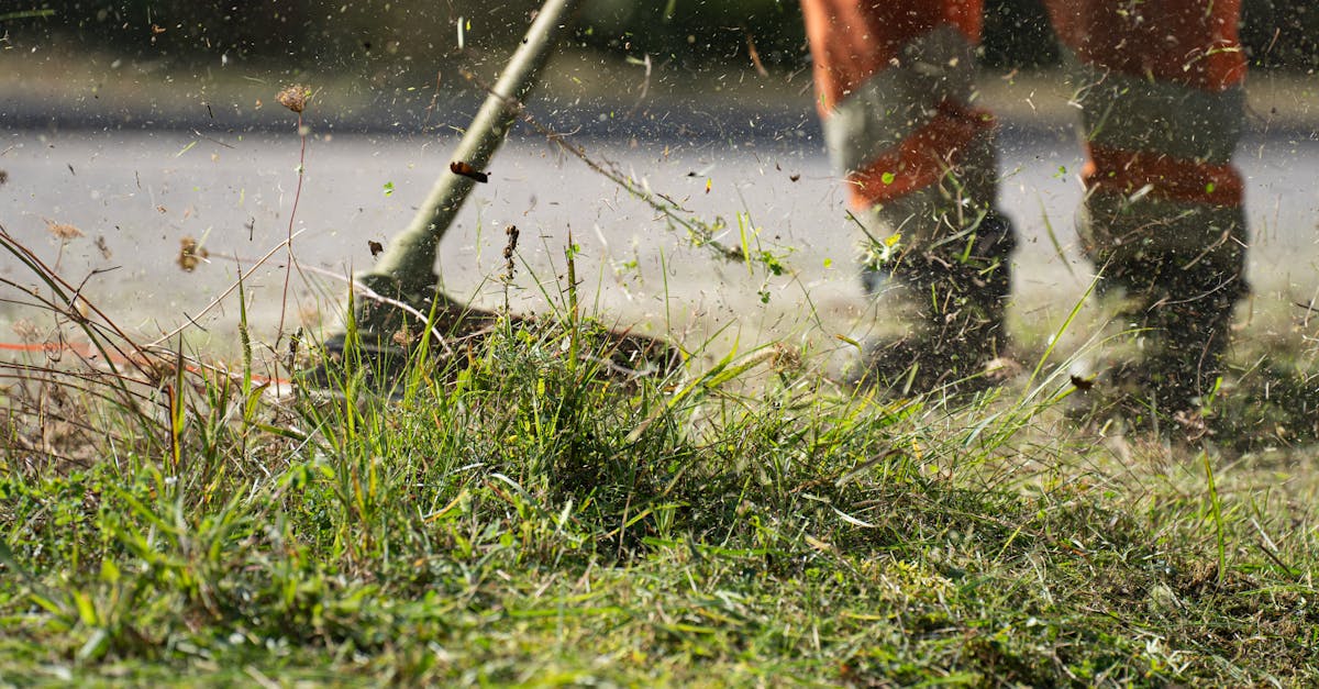découvrez notre sélection de tondeuses à gazon performantes pour un jardin impeccable. profitez de conseils, comparatifs et avis pour choisir la tondeuse idéale adaptée à vos besoins.