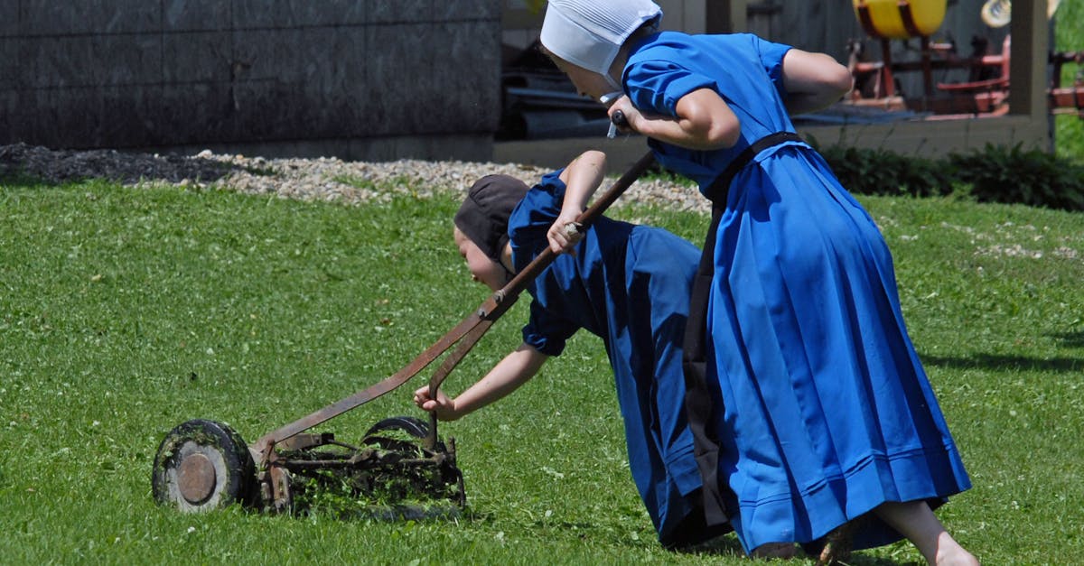 découvrez notre sélection de tondeuses à gazon performantes et faciles à utiliser pour un jardin impeccable toute l’année. profitez de conseils d’experts et trouvez la tondeuse idéale pour entretenir votre pelouse.