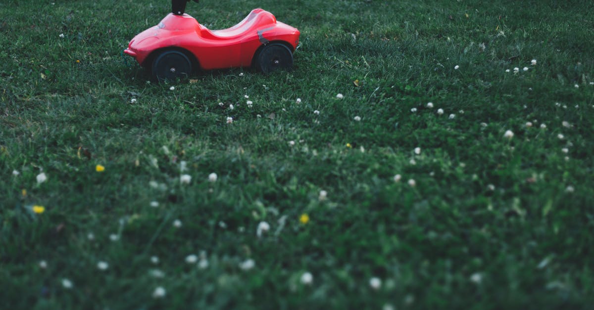 découvrez tout ce qu'il faut savoir sur les tondeuses à gazon : conseils d'achat, entretien, comparatifs et astuces pour un jardin parfaitement entretenu.