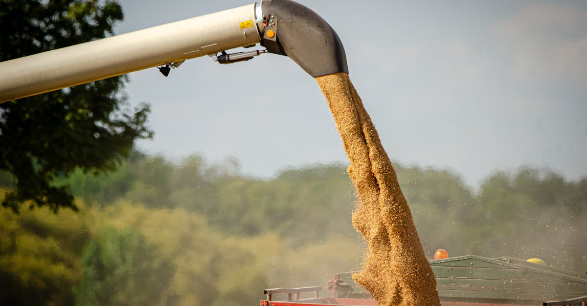découvrez notre sélection de tondeuses à gazon performantes pour un entretien facile et efficace de votre pelouse. guide d'achat, conseils et comparatifs pour choisir la meilleure lawn mower adaptée à vos besoins.