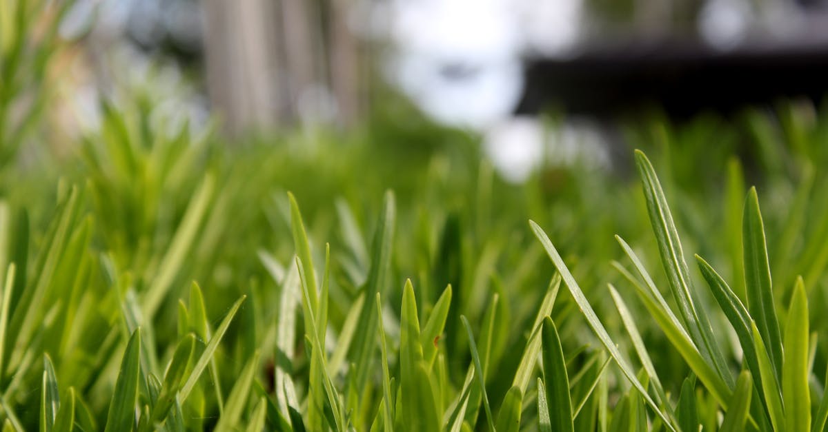 découvrez comment retirer facilement et en toute sécurité la lame de votre tondeuse à gazon grâce à notre guide pratique. conseils, outils et étapes détaillées pour un entretien réussi.