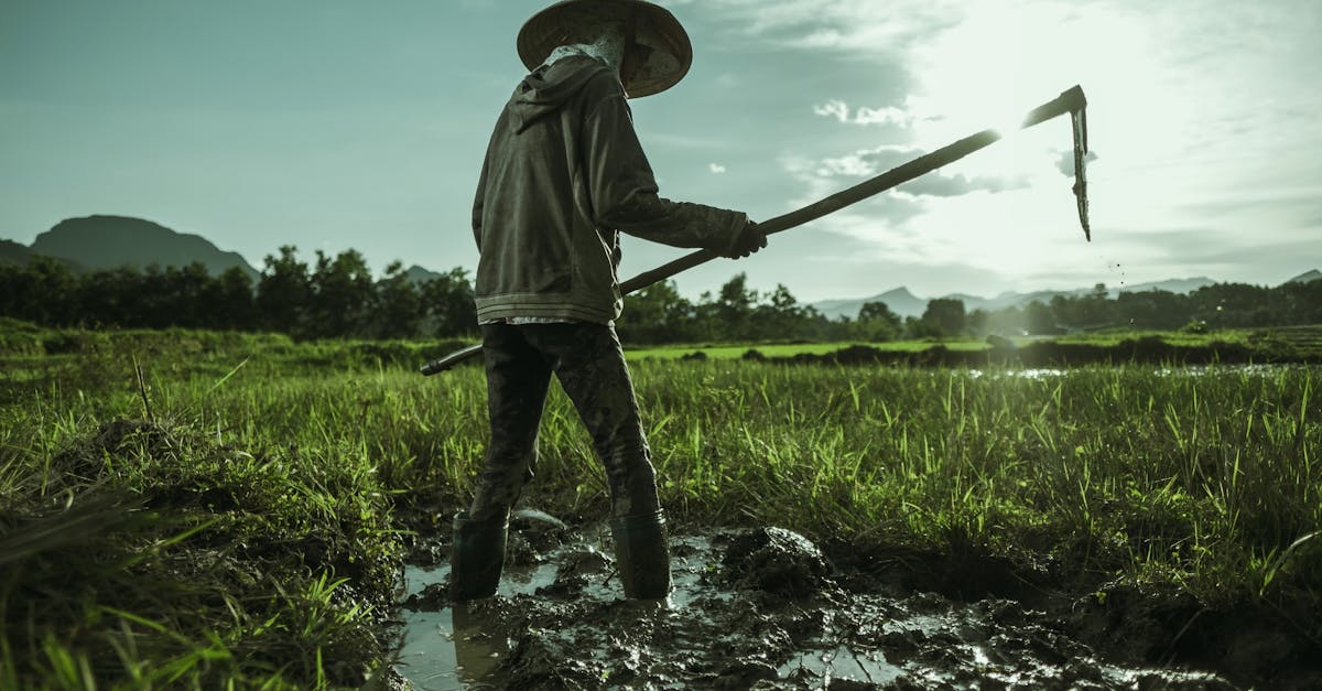 découvrez tout ce qu'il faut savoir sur le carburant pour tondeuses à gazon : types d'essence recommandés, conseils d'entretien et astuces pour optimiser la performance de votre tondeuse.