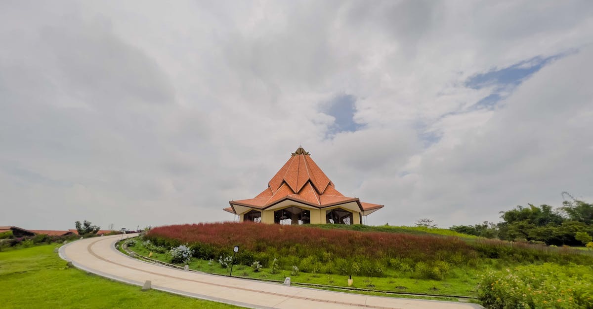 découvrez tout ce qu'il faut savoir sur le carburant pour tondeuse à gazon : types de carburants, conseils d'utilisation et astuces pour un moteur performant et durable.