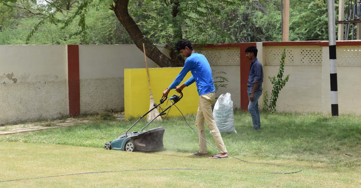découvrez nos conseils essentiels pour l’entretien de votre tondeuse à gazon : nettoyage, affûtage des lames, vérification de l’huile et astuces pour prolonger la durée de vie de votre équipement.