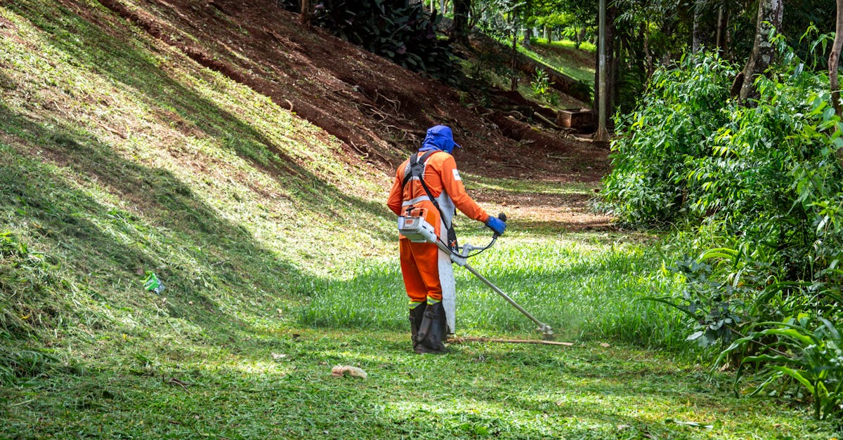 découvrez tout ce qu'il faut savoir sur l'huile pour tondeuse à gazon : types, conseils d'entretien et astuces pour prolonger la durée de vie de votre moteur. trouvez l'huile adaptée à votre tondeuse !