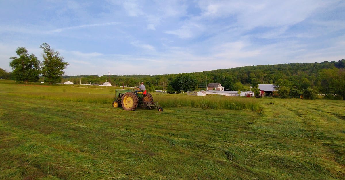 découvrez tout ce qu'il faut savoir sur les tondeuses à gazon : conseils d'achat, entretien, comparatifs et astuces pour obtenir une pelouse impeccable toute l'année.