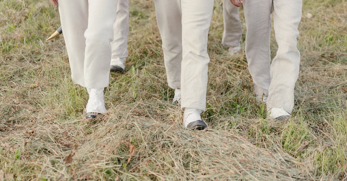 découvrez notre guide complet sur la tondeuse à gazon : conseils d'achat, comparatifs, astuces d'entretien et recommandations pour choisir le meilleur modèle selon vos besoins.