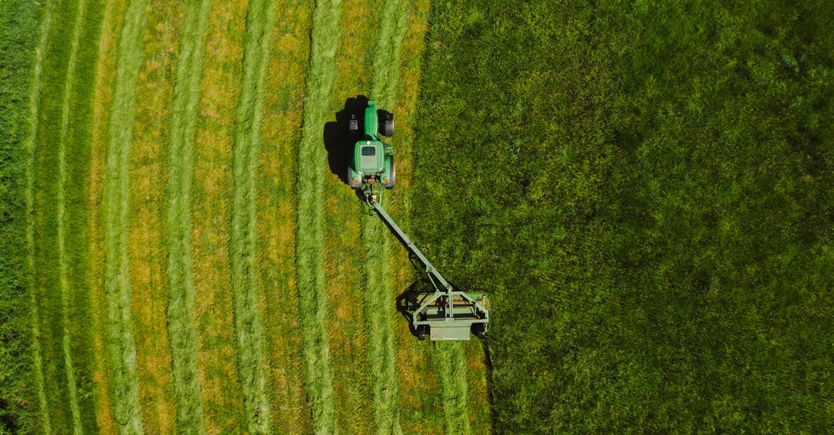 découvrez tout ce qu'il faut savoir sur les tondeuses à gazon : conseils d'achat, guide d'entretien et astuces pour un jardin impeccable. trouvez la tondeuse idéale pour votre pelouse !