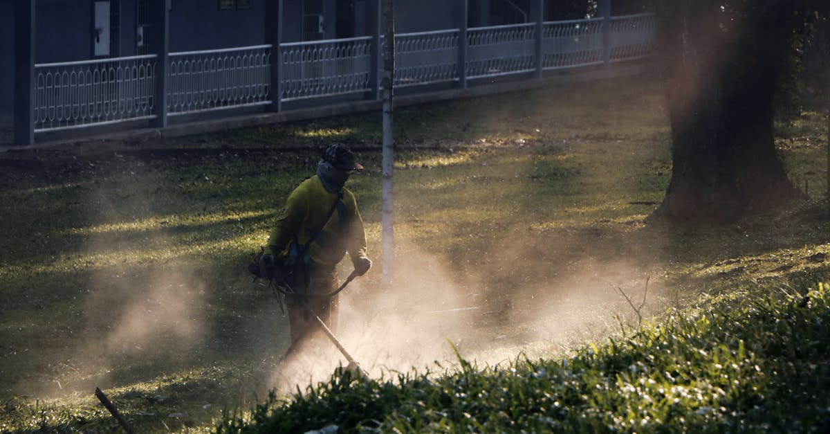 découvrez les causes possibles de la fumée provenant de votre tondeuse à gazon, apprenez comment diagnostiquer le problème et trouvez des solutions pour éviter d'endommager votre équipement.