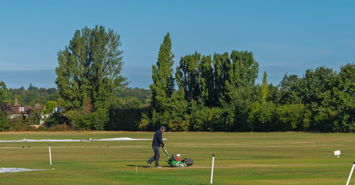 découvrez notre guide complet sur les tondeuses à gazon : types, conseils d’entretien, astuces pour choisir la meilleure tondeuse adaptée à votre jardin et bien plus encore pour garder votre pelouse impeccable toute l’année.