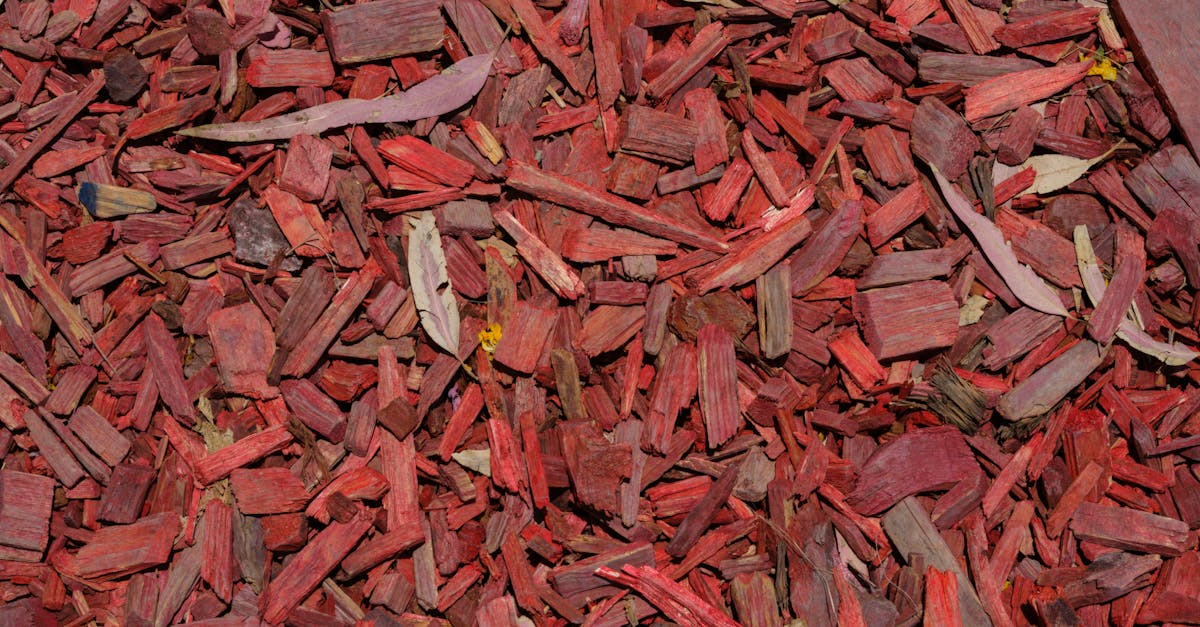 découvrez le mulching, une technique écologique de tonte qui consiste à broyer finement l’herbe coupée pour l’utiliser comme engrais naturel. améliorez la santé de votre pelouse tout en réduisant vos déchets verts.