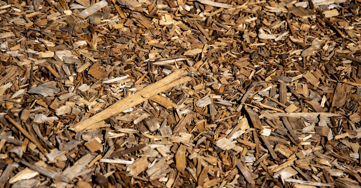 découvrez le mulching, une technique de tonte sans ramassage qui fertilise naturellement votre pelouse, réduit les déchets verts et favorise un jardin écologique et sain.