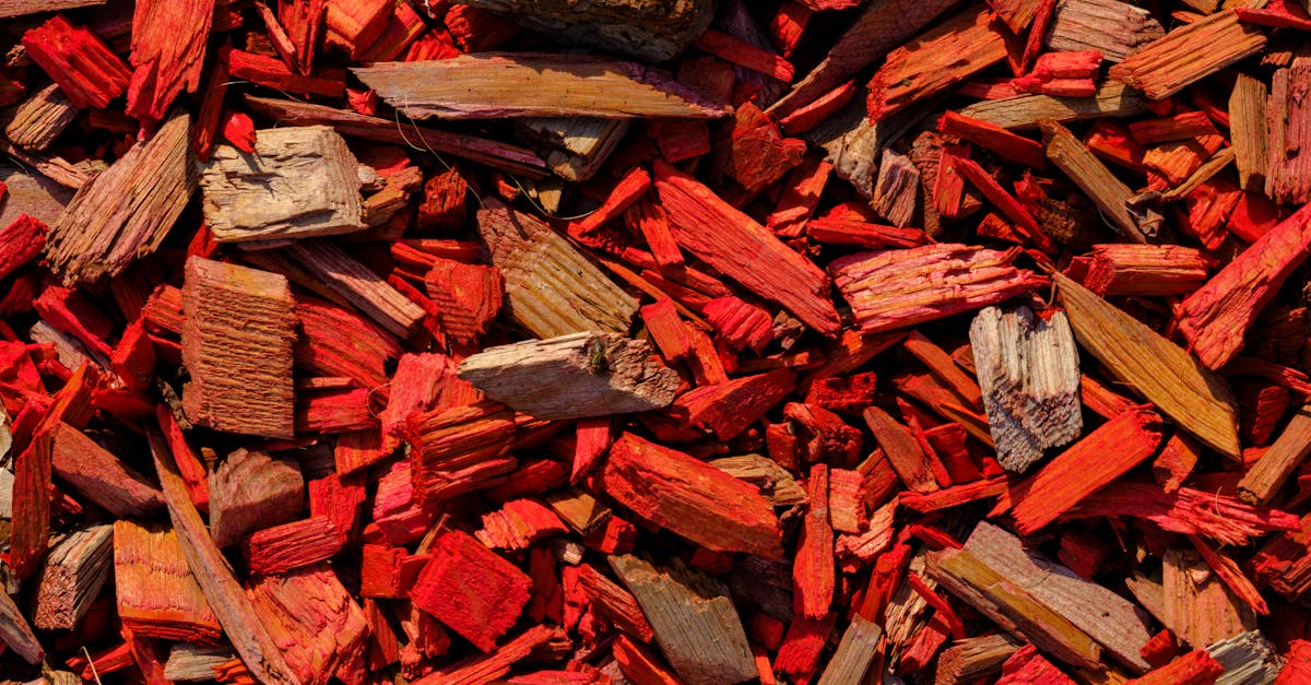 découvrez tout sur le mulching : une technique de tonte écologique qui fertilise naturellement votre pelouse, réduit les déchets verts et favorise la santé de votre jardin.