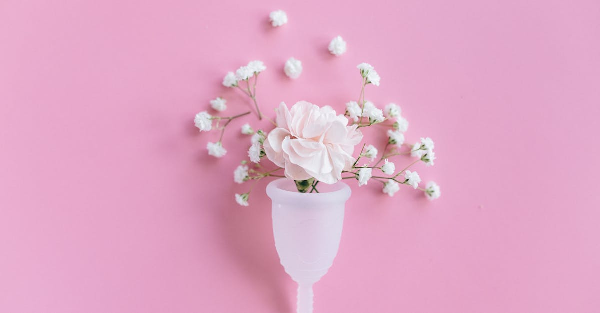 découvrez notre comparatif complet des robots tondeuses. analysez les meilleurs modèles, comparez leurs fonctionnalités, prix et performances pour choisir le robot de tonte adapté à votre jardin.